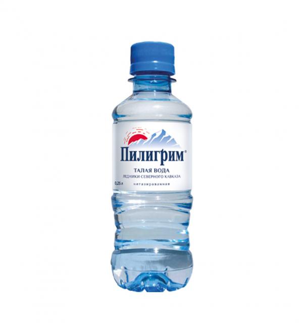 Питьевая вода «Пилигрим» 0.25 л. негазированная 8 бутылок