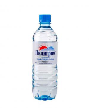 Питьевая вода «Пилигрим» 0.5 л. негазированная 12 бутылок